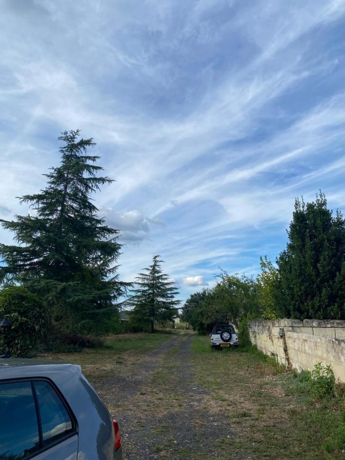 Gites De La Levee Chouzé-sur-Loire Екстериор снимка